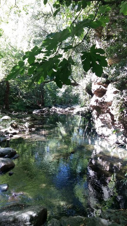Camping Maureillas Esterno foto