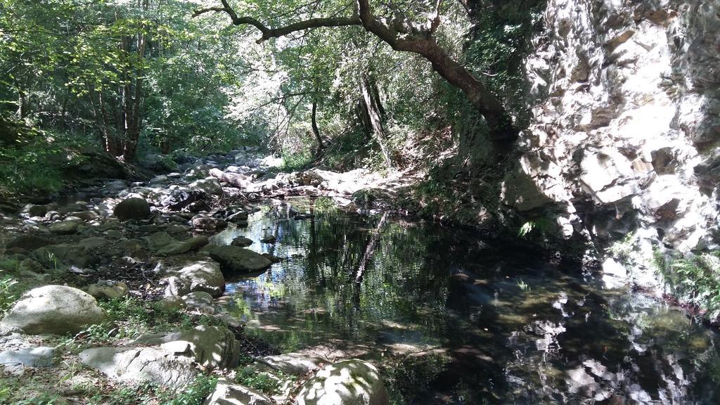 Camping Maureillas Esterno foto